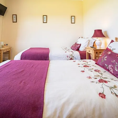 Bed & Breakfast Bertra House 3*